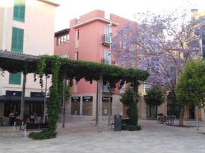 Double New Rooms at the Center of Palma
